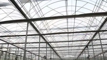 Tenda da coltivazione per la coltivazione di piante in serra idroponica indoor